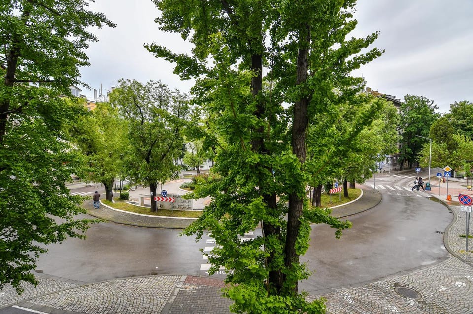 Day, Street view