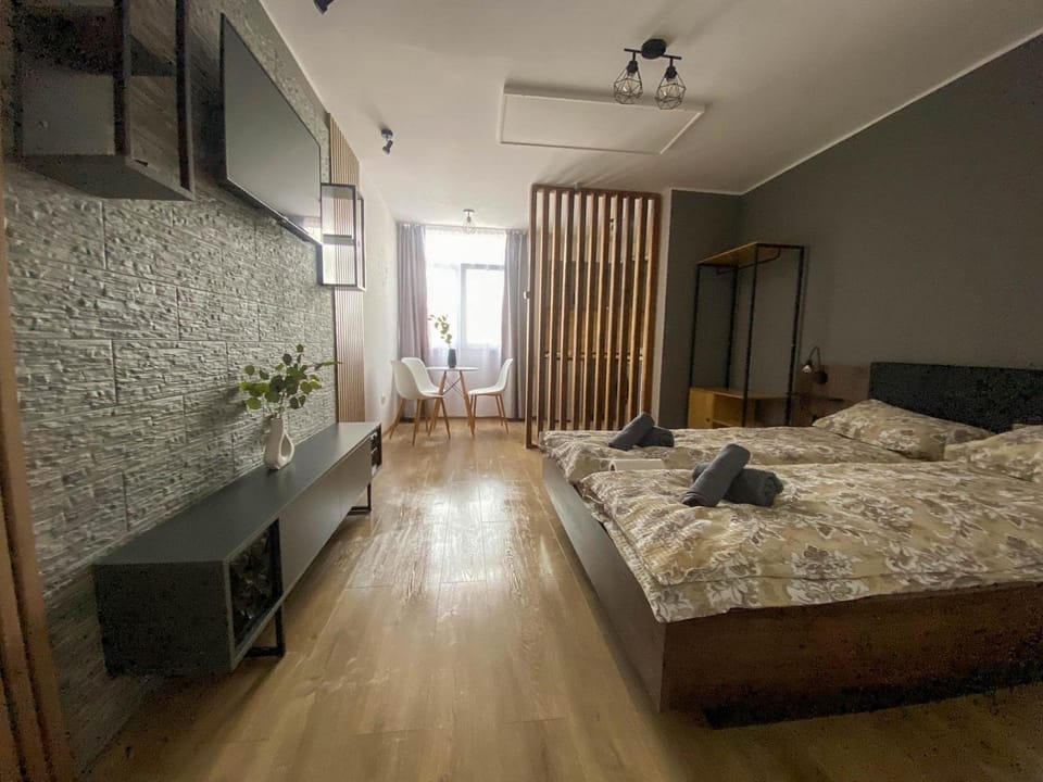 Nest Studio Deluxe Apartment in Romania