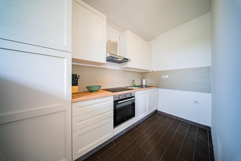 Kitchen or kitchenette, dishwasher, oven, stove