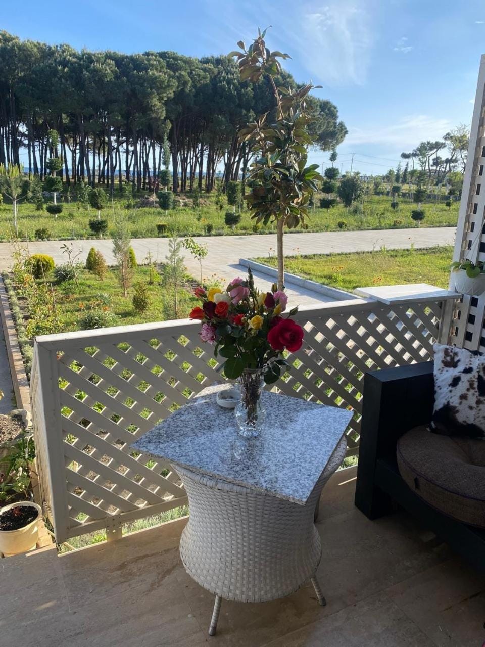 Pelinku Apartment Apartment in Montenegro