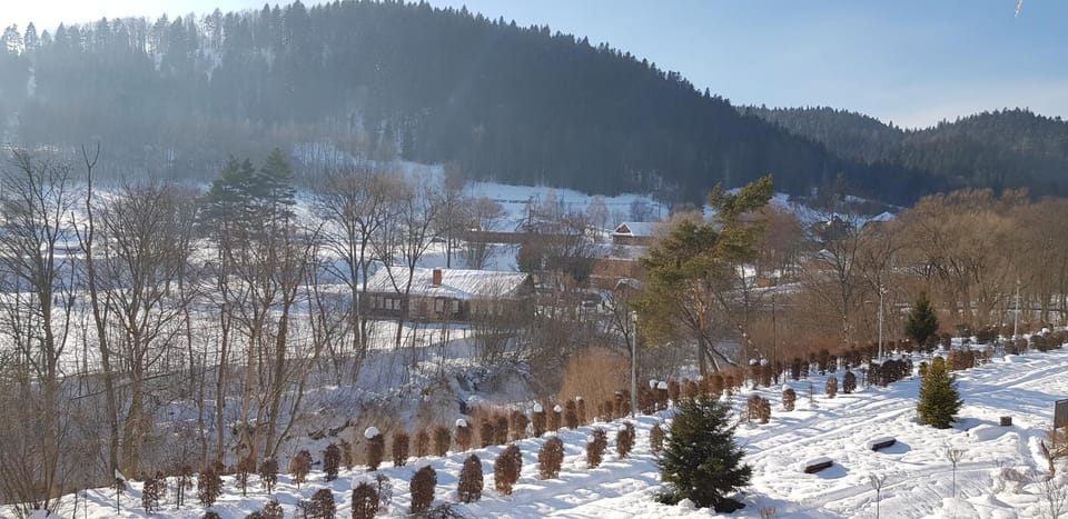 Natural landscape, Winter, Hiking, Mountain view
