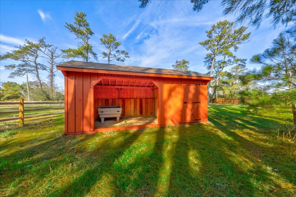 Seahorse Shanty House in Chincoteague Island