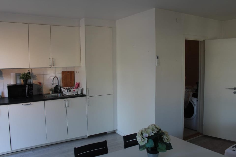 Central Ground Floor Flat Near Beach & Transit Apartment in Skåne County