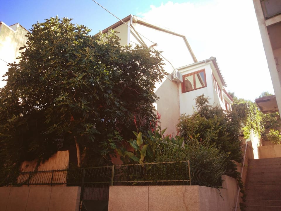 Apartment Seventh Continent Apartment in Šibenik