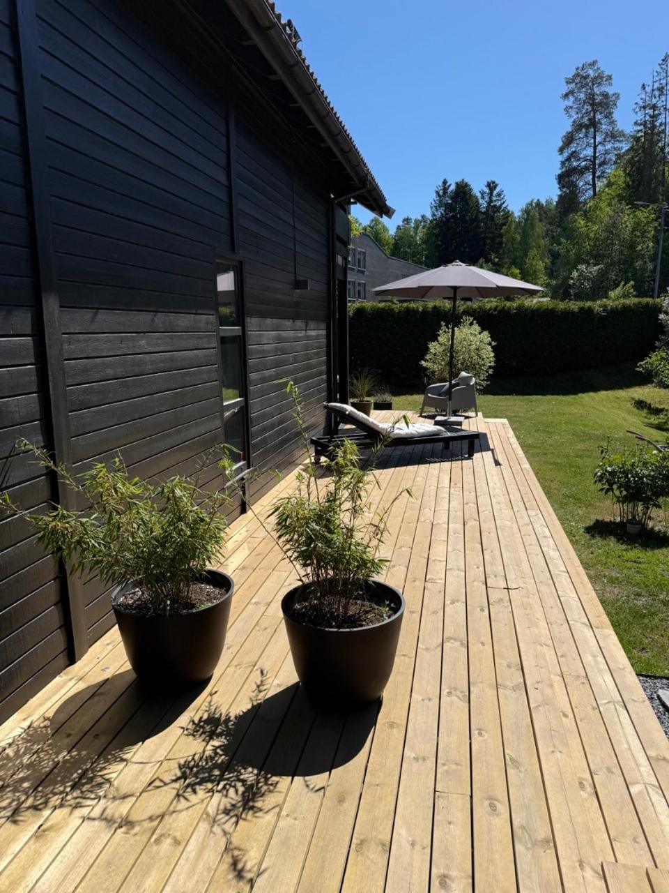 Patio, Day