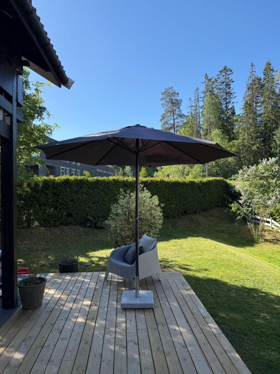 Patio, Garden, Garden view