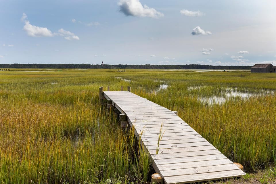 To the Lighthouse House in Chincoteague Island