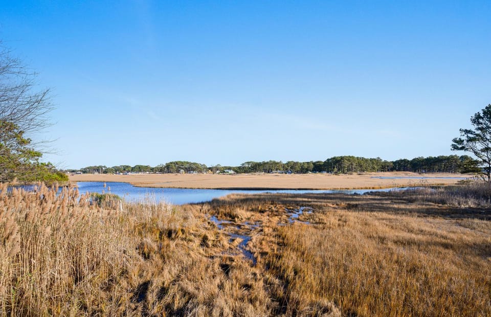 Island Retreat House in Chincoteague Island