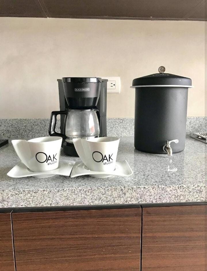 OAK 3B Loft Ejecutivo con Balcón Apartment in Guatemala City