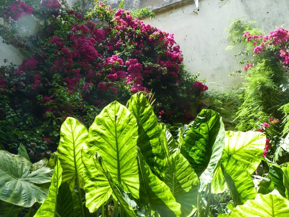 Decorative detail, Garden view
