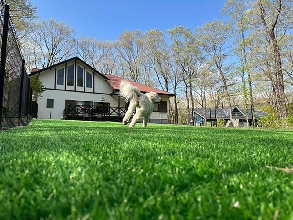 Property building, Day, Garden, Garden, Pets, Garden view