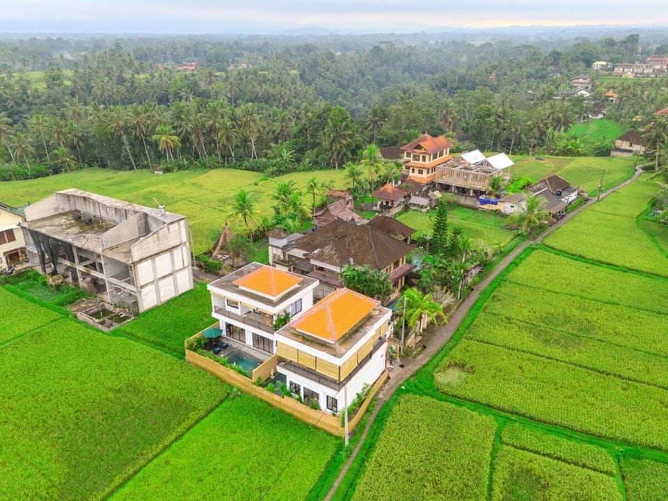 Property building, Natural landscape