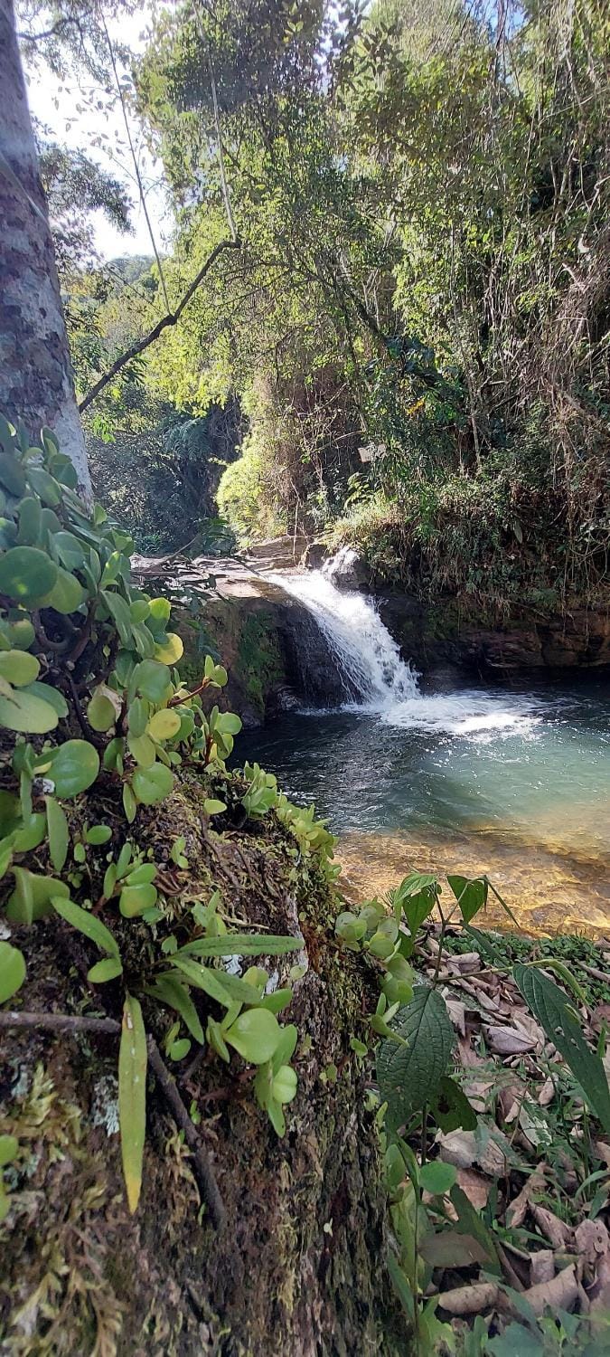 Chalé Hortelã - Cachoeira São Bernardo Chalet in State of São Paulo