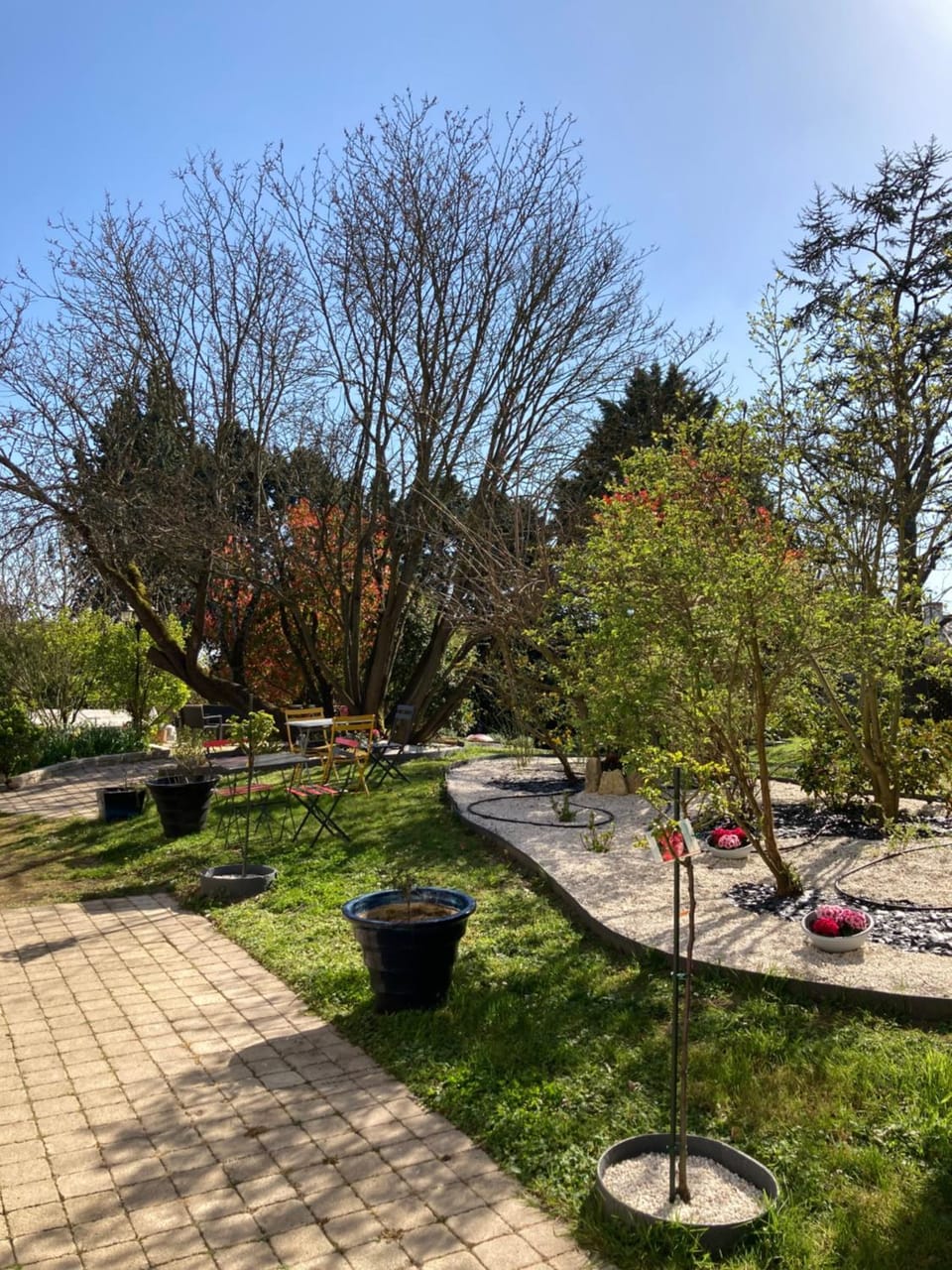 Garden view