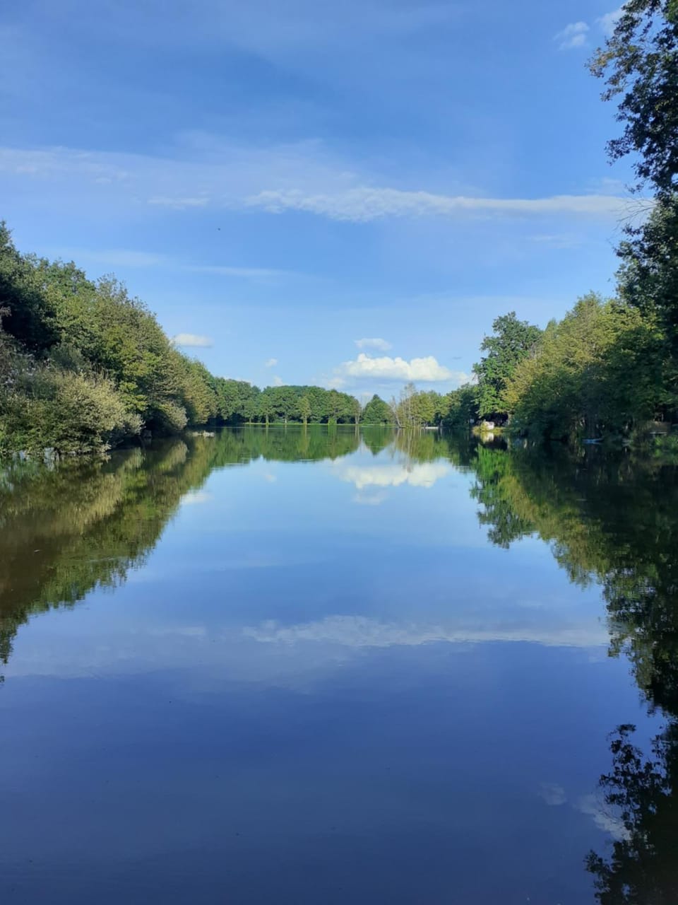 Lake view
