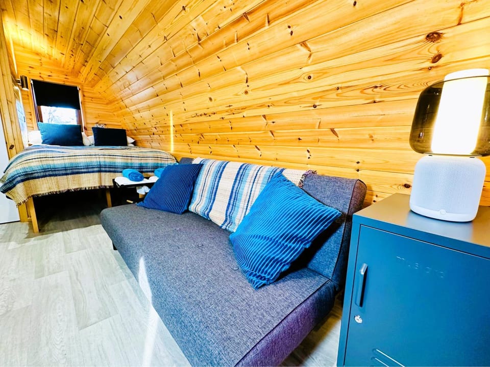 Bed, TV and multimedia, Living room, Photo of the whole room, Seating area