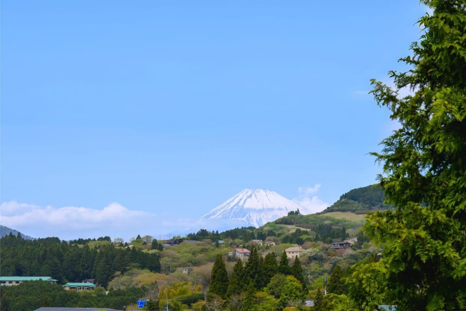 Day, View (from property/room), Mountain view