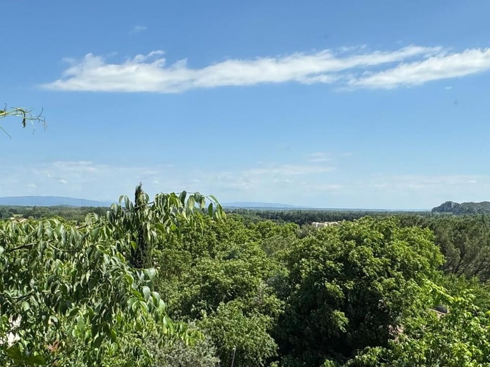 House 10 minutes from Avignon House in Provence-Alpes-Côte d'Azur