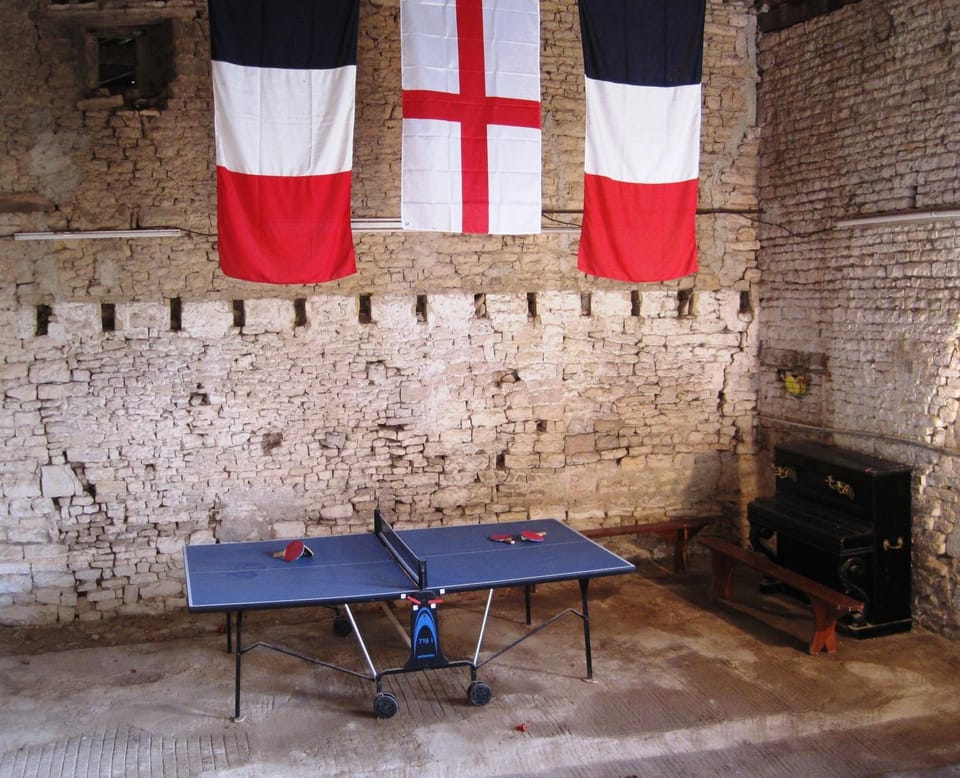 Activities, Game Room, Table tennis