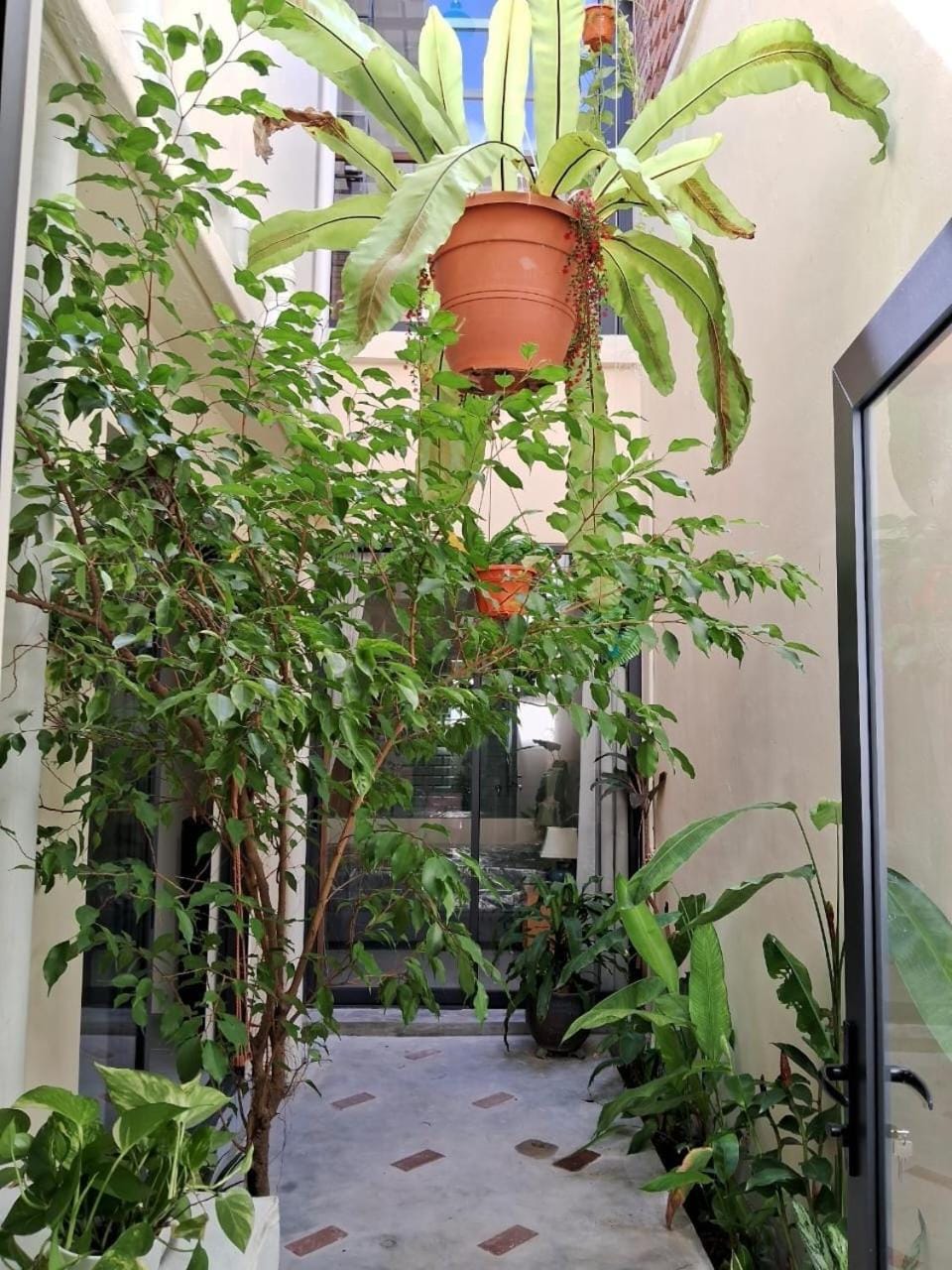 Georgetown vintage garden 5pax 2BR Homestay House in George Town