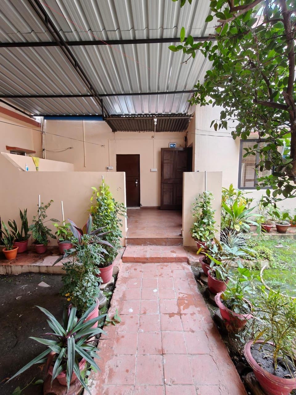 Property building, Garden, Garden view