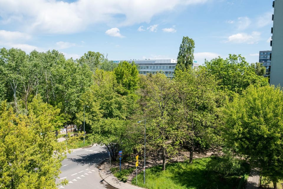Neighbourhood, View (from property/room), Location
