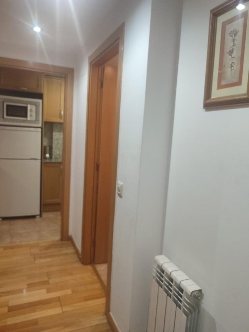 Apartamento Chispita Apartment in Benasque
