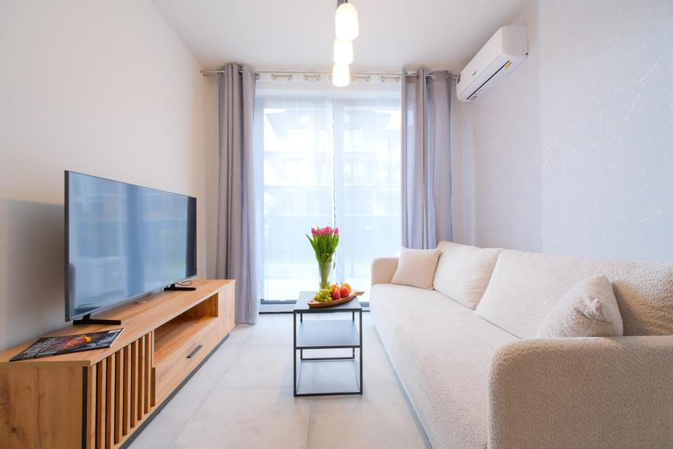 TV and multimedia, Living room, Seating area, air conditioner