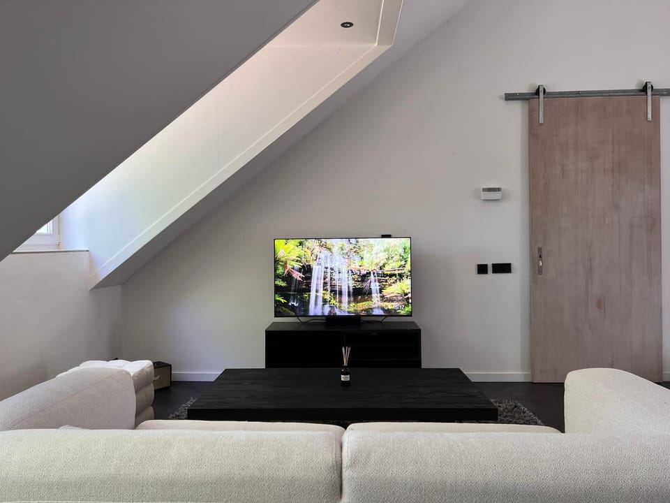 One Magnific 3 floors Authentic Dutch House with Terrace and One 2 bedrooms Deluxe modern apartment Apartment in Maastricht