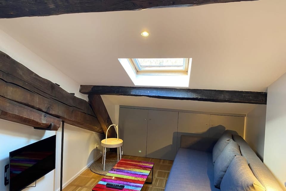 Lovely studio in the 9th arrondissement near the quays Apartment in Lyon