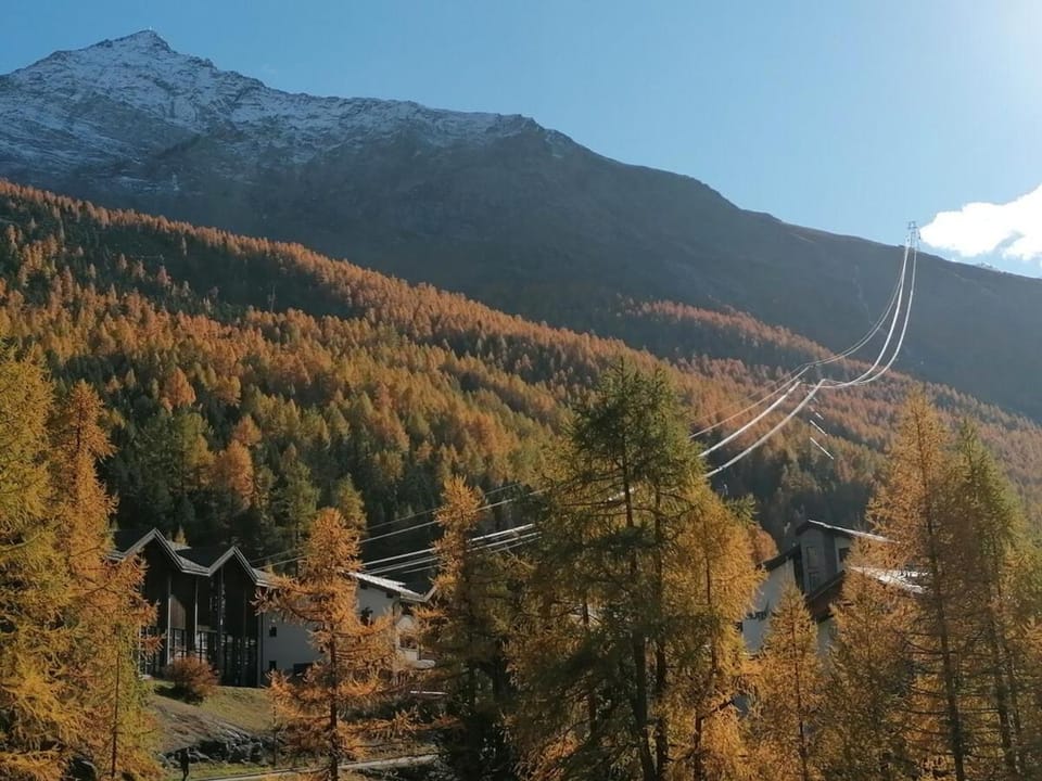 Great apartment with visual contact to Alpin Express Apartment in Saas-Fee