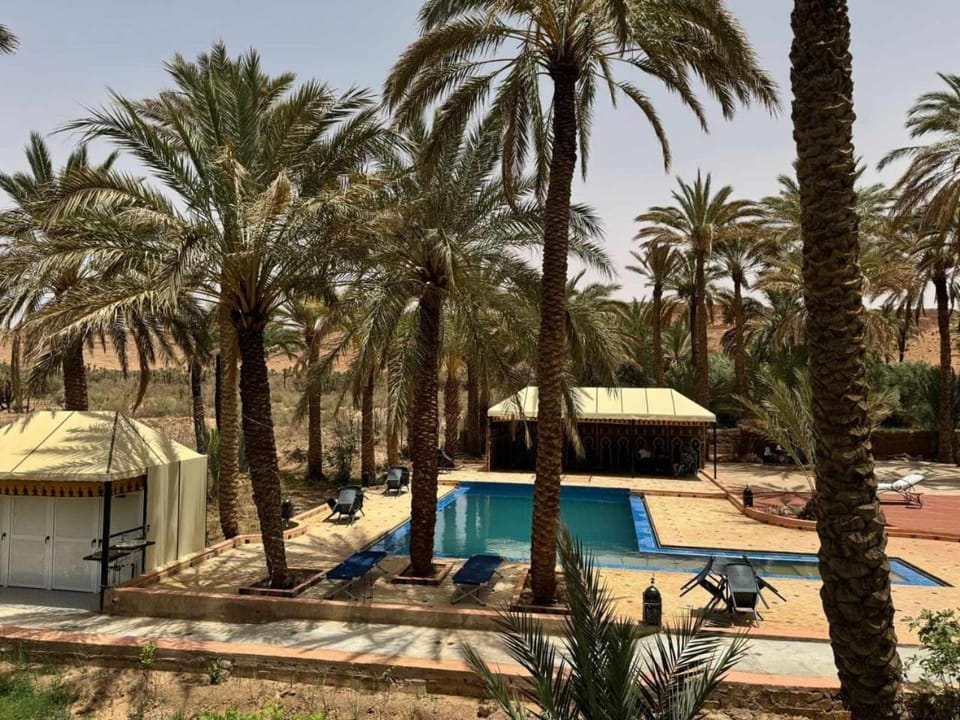 Garden, Garden view, Pool view, Swimming pool