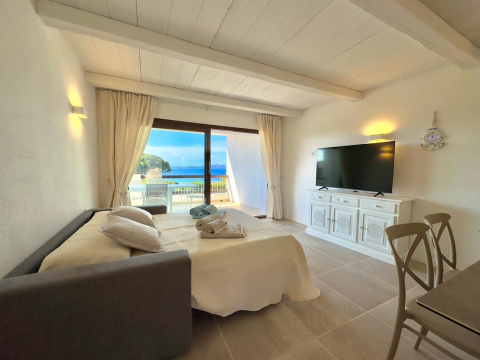 Bed, TV and multimedia, Living room, Evening entertainment