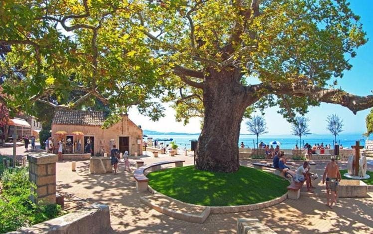 Sweet House Apartment in Mlini