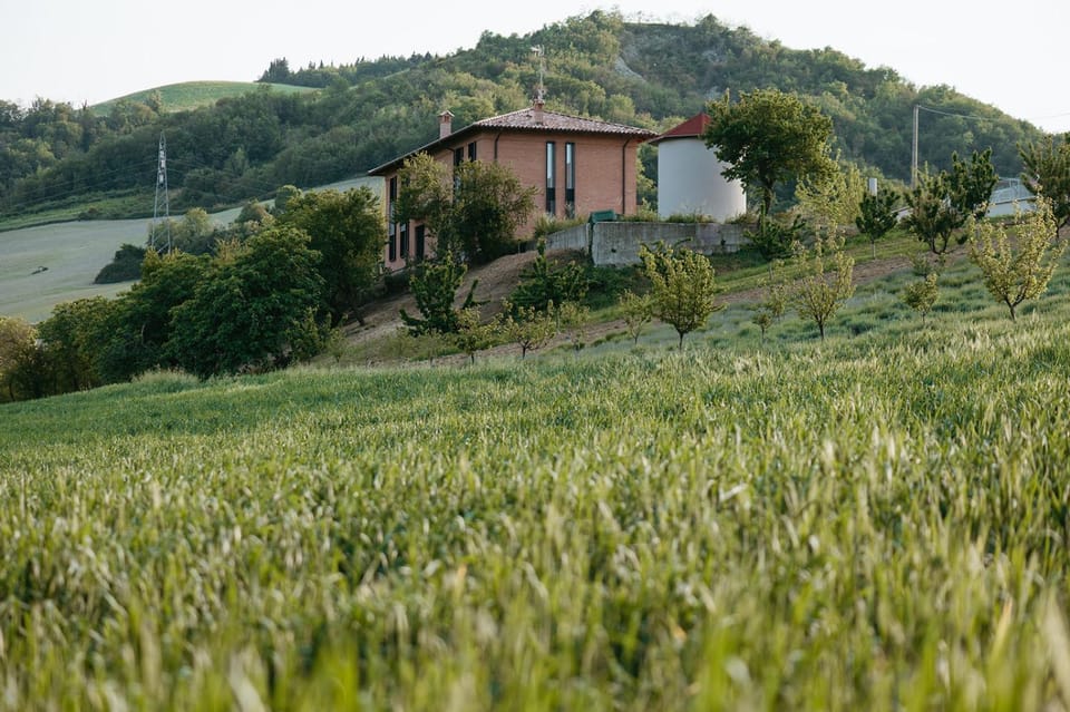 Property building, Natural landscape, View (from property/room), Garden view