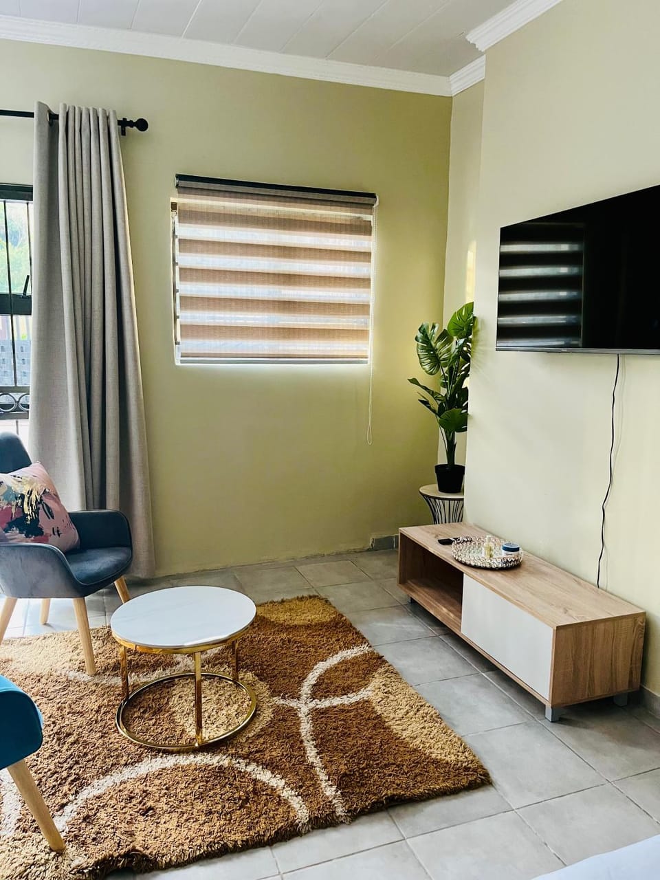 TV and multimedia