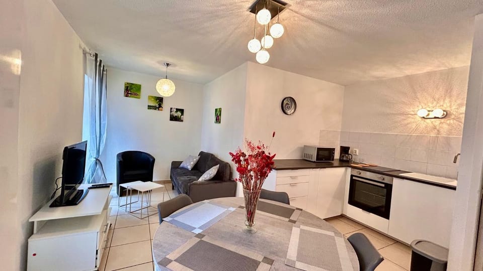 Jolie T3 Dans le parc des Thermes Apartment in Auvergne-Rhône-Alpes