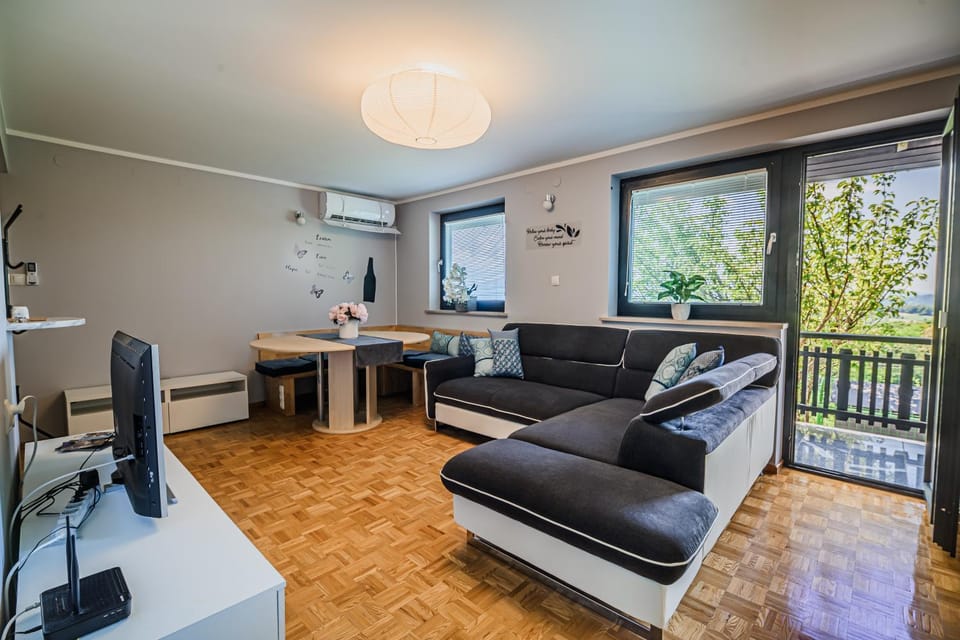 TV and multimedia, Living room, air conditioner