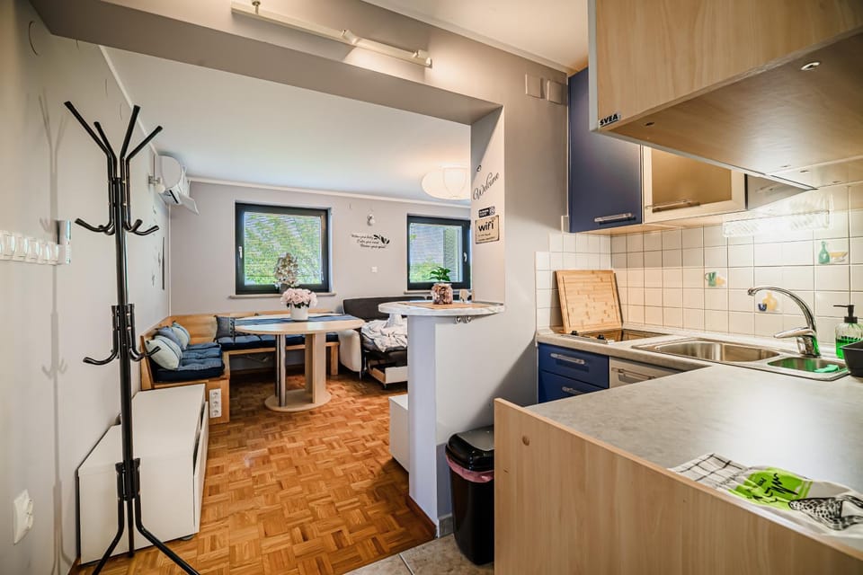 Living room, kitchen