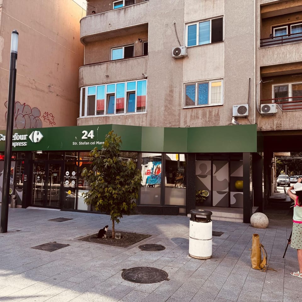 Supermarket/grocery shop