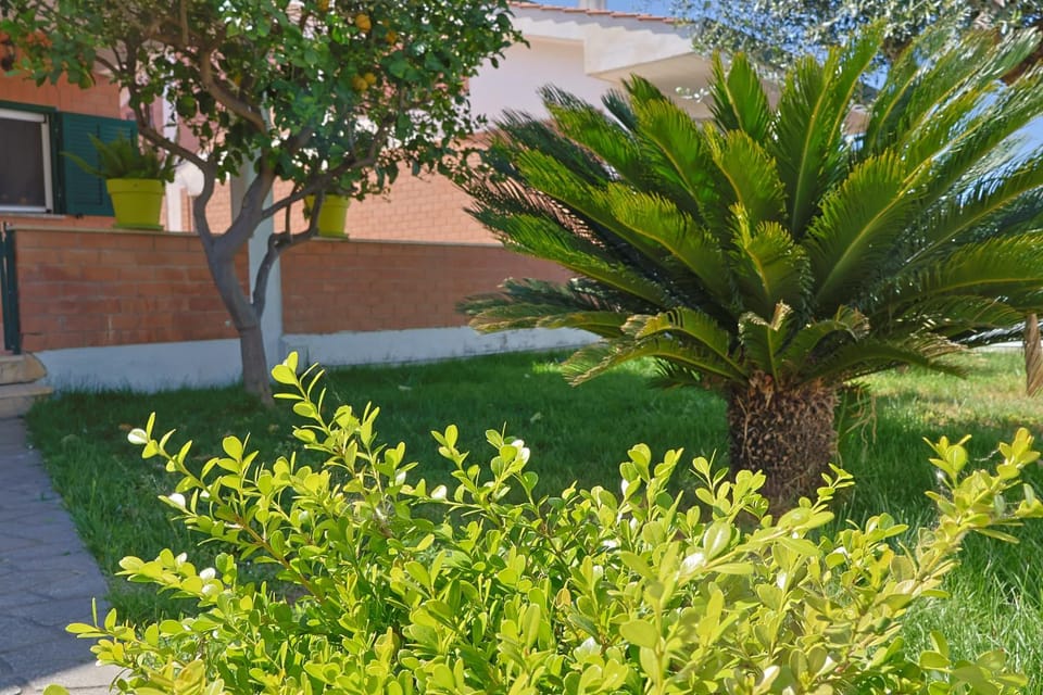 Spring, Day, Garden, Garden, Garden view