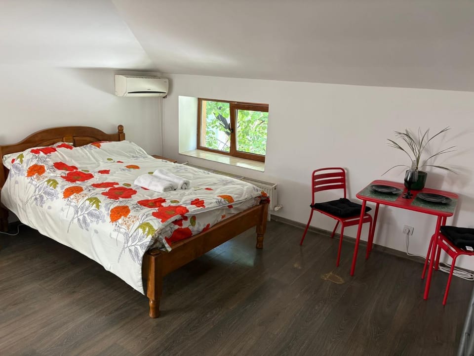 Propriete 12 - Close to downtown, Spiridon Hospital, IRO Hospital Apartment in Romania