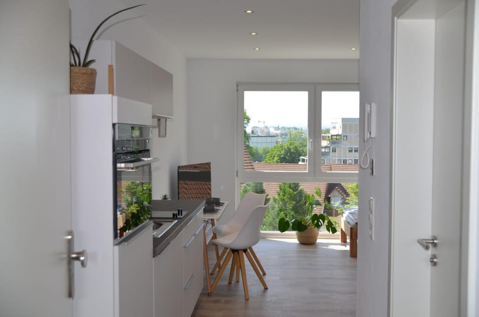 Kitchen or kitchenette, Dining area, stove