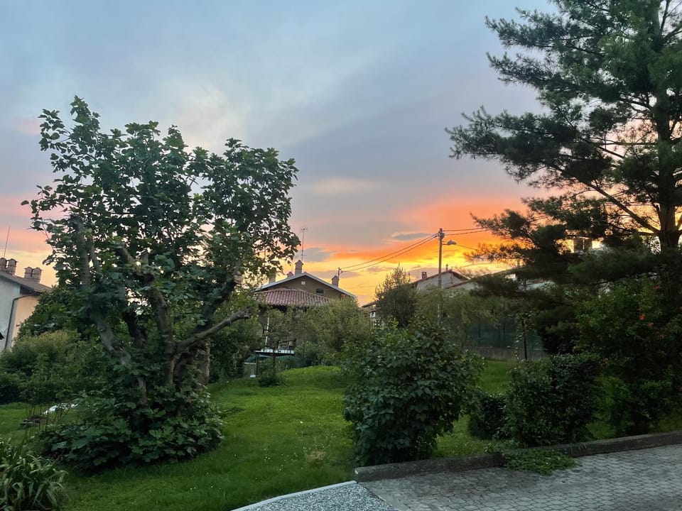 Day, Natural landscape, Garden, Garden view, Sunset