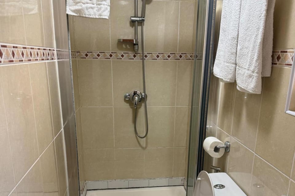 Shower, Toilet, Bathroom, towels