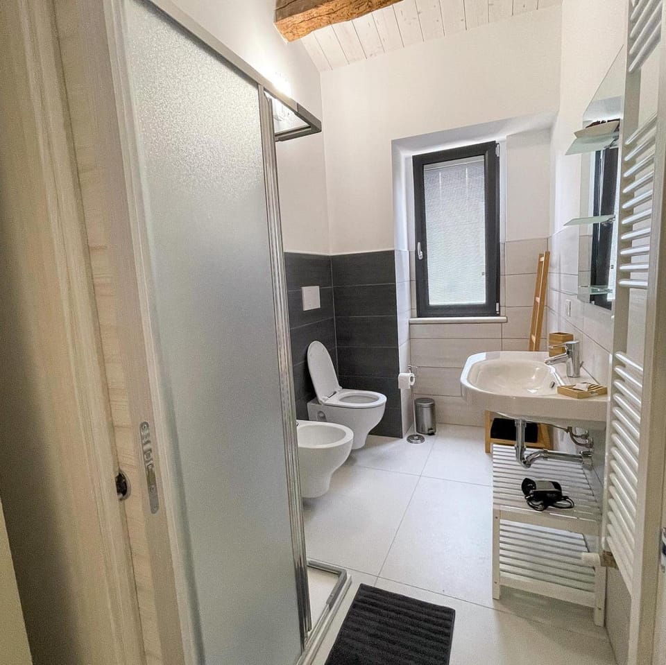 Shower, Toilet, Bathroom, bidet