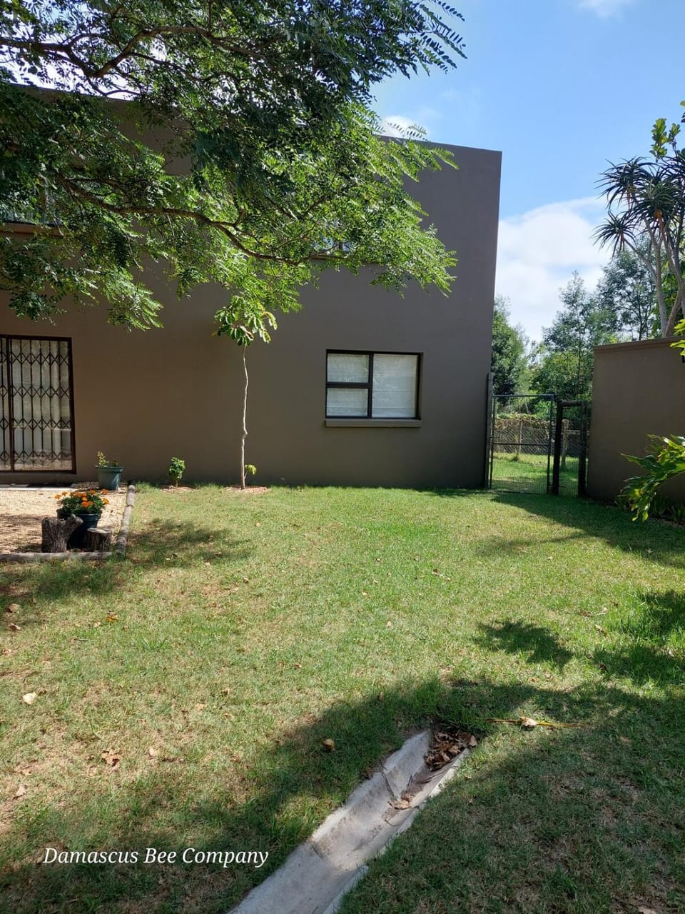Property building, Garden, Garden view