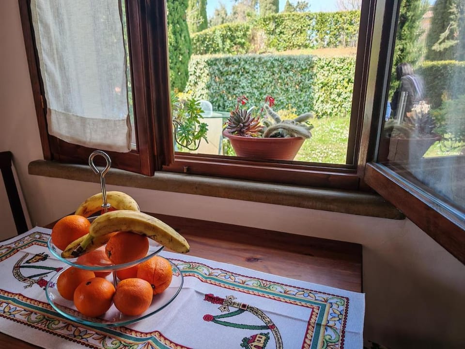 La casa di Arturo Pet friendly Apartments Apartment in Tuscany