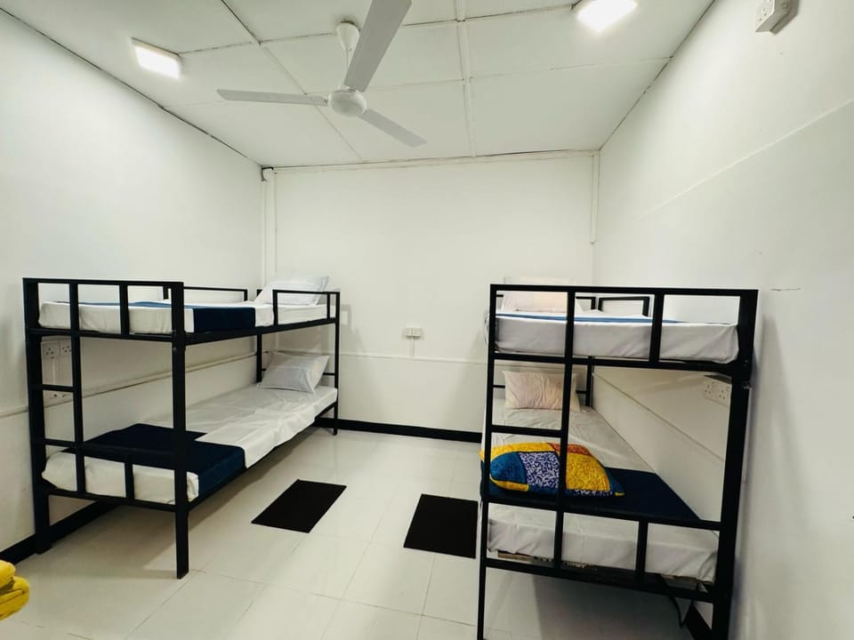 Bed, Photo of the whole room, bunk bed