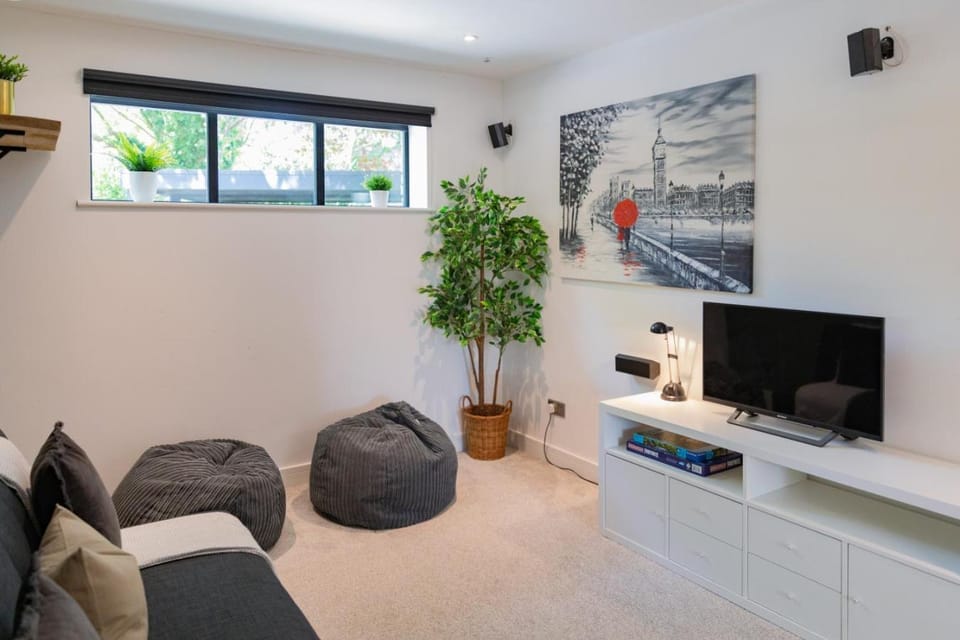 Game Room, TV and multimedia
